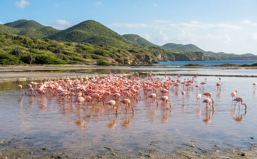 Curacao nature reserve