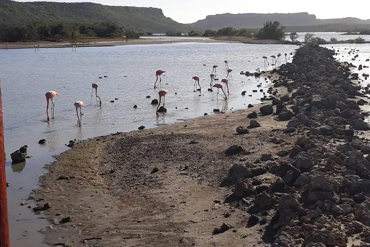 Salt plains and flamingos